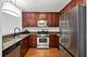 201 N Westshore Unit 2204, Chicago, IL 60601