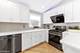 345 W Swann, Chicago, IL 60609