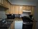 5506 Lincoln Unit A-525, Morton Grove, IL 60053