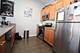 1540 W Fullerton Unit 205, Chicago, IL 60614