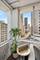 1000 N Lake Shore Unit 12B, Chicago, IL 60611