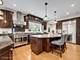 451 S Spring, La Grange, IL 60525