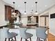 451 S Spring, La Grange, IL 60525