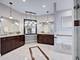 451 S Spring, La Grange, IL 60525