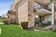 11130 Northwest Unit B, Palos Hills, IL 60465