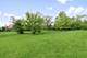910 Red Fox, Oak Brook, IL 60523