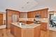 1121 Lacebark Unit 1121, Darien, IL 60561
