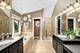 271 Arbor Glen Unit 271, Schaumburg, IL 60195