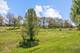 11286 Bellflower, Huntley, IL 60142