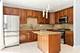200 Tanglewood, Glen Ellyn, IL 60137