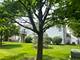 13833 S Balsam Unit C, Plainfield, IL 60544