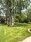 1026 Lincoln, Elk Grove Village, IL 60007