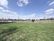 34W836 N James, St. Charles, IL 60174