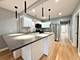 5307 N Central Unit 1, Chicago, IL 60630
