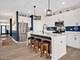25538 W Alabaster, Plainfield, IL 60544