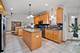 321 Royal Oak, Steger, IL 60475