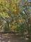 26220 N Midlothian, Mundelein, IL 60060