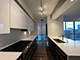 1201 S Prairie Unit 3801, Chicago, IL 60605