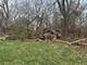 10802 W York House, Beach Park, IL 60087