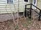 10802 W York House, Beach Park, IL 60087
