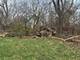 10802 W York House, Beach Park, IL 60087