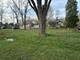 10802 W York House, Beach Park, IL 60087