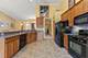 306 Austin, Shorewood, IL 60404