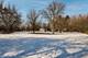 2963 87th, Darien, IL 60561