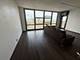 3001 S Michigan Unit 1707, Chicago, IL 60616
