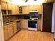 11277 S Roberts Unit E, Palos Hills, IL 60465
