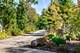 1175 Edgewood, Lake Forest, IL 60045