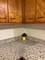 13515 S Baltimore, Chicago, IL 60633