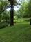 1805 Gilbert, Downers Grove, IL 60515