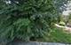 6521 S Emerald, Chicago, IL 60621