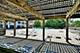 4250 N Marine Unit 1731, Chicago, IL 60613