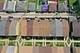 1140 E 81st Unit F, Chicago, IL 60619