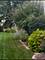 430 Clover, Algonquin, IL 60102