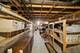 1300 Somerset, Deerfield, IL 60015