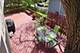 1300 Somerset, Deerfield, IL 60015