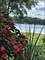 287 Deer Trail Unit D, Lake Barrington, IL 60010