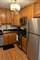 850 N Dewitt Unit 15F, Chicago, IL 60611