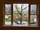 101 Ashland Unit 3S, Evanston, IL 60202
