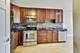 1030 N State Unit 13D, Chicago, IL 60610