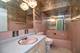 638 Pheasant, Frankfort, IL 60423