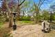 275 Farmhill, Algonquin, IL 60102