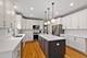 1203 N Burning Bush, Mount Prospect, IL 60056