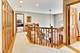 1425 Tyrell, Park Ridge, IL 60068