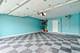 620 W Peregrine, Palatine, IL 60067