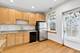 4217 W Grace, Chicago, IL 60641