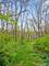 5N617 Forest Glen, St. Charles, IL 60175